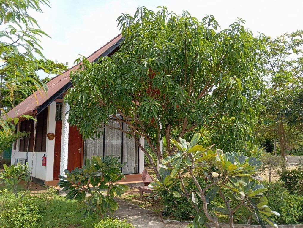 Passi Nature Villas Passikudah Kalkudah  Extérieur photo